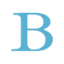 BIRINYI ASSOCIATES INC logo
