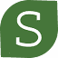 SAGE FINANCIAL GROUP INC logo