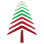 Red Spruce Capital, LLC logo