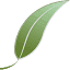 Smartleaf Asset Management LLC logo