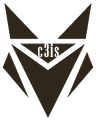 C3is Inc. logo
