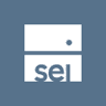 SEI Enhanced Low Volatility U.S. Large Cap logo
