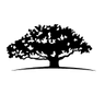 WisdomTree Emerging Markets High Dividend Fund logo