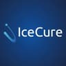 IceCure Medical Ltd. Ordinary Shares logo