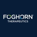 Foghorn Therapeutics logo