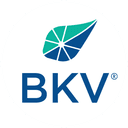 BKV logo