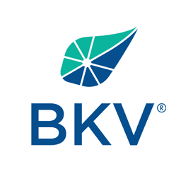 BKV logo