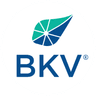 BKV logo