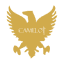 Camelot Portfolios, LLC logo Camelot Portfolios, LLC logo
