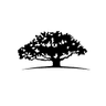 WisdomTree U.S. Quality Dividend Growth Fund logo