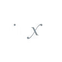 Direxion Daily Semiconductor Bull 3X Shares logo Direxion Daily Semiconductor Bull 3X Shares logo